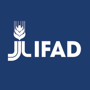 International Fund for Agricultural Development logo