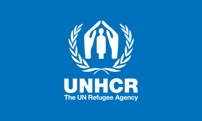 7 Entry-Level Assistant Jobs at UNHCR (2025)