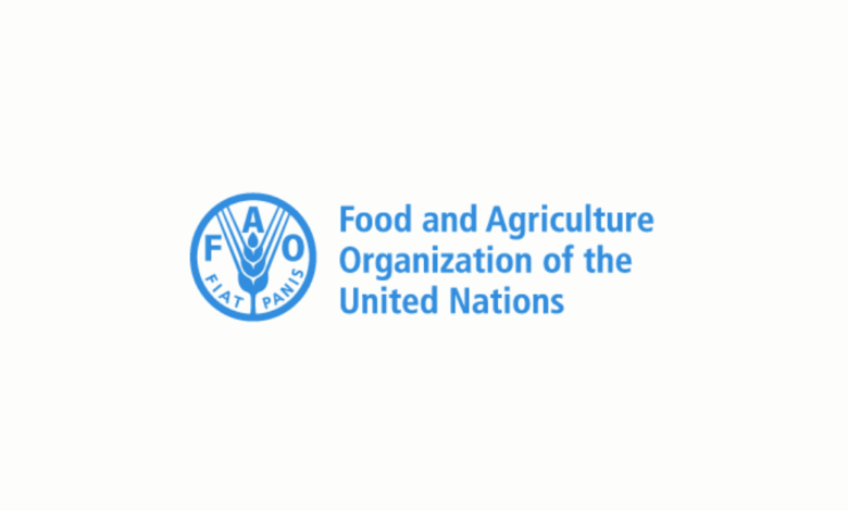 FAO Is Hiring: 8 Paid Assistant Vacancies Available for 2025