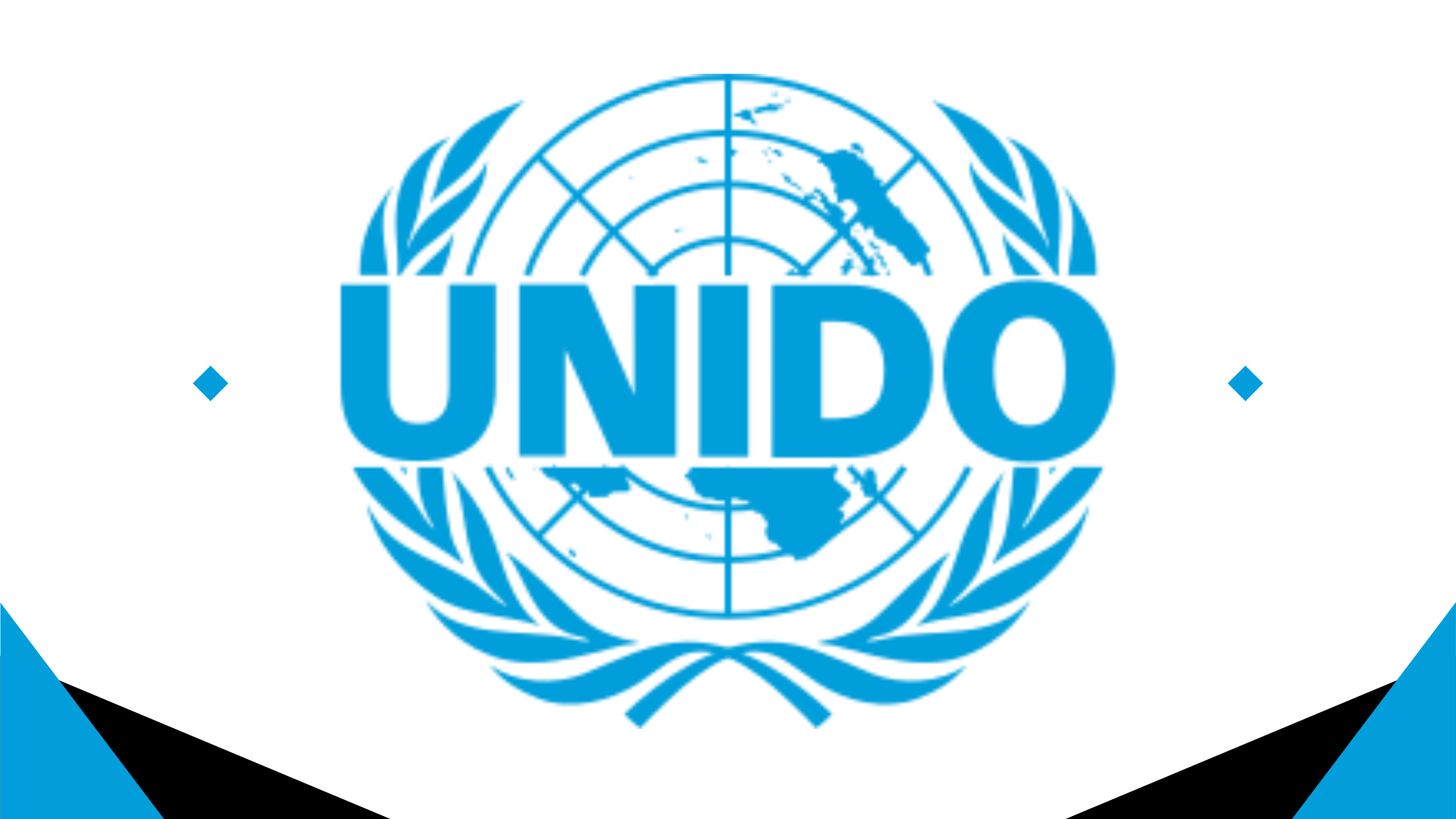Entry-Level UNIDO Assistant Jobs for 2025 – Apply Now