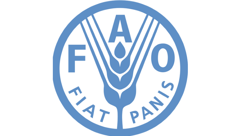 FAO Is Hiring for 11 Home-Based Positions – Apply Now for 2025