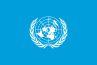 Remote Social Media Internship at UN Foundation