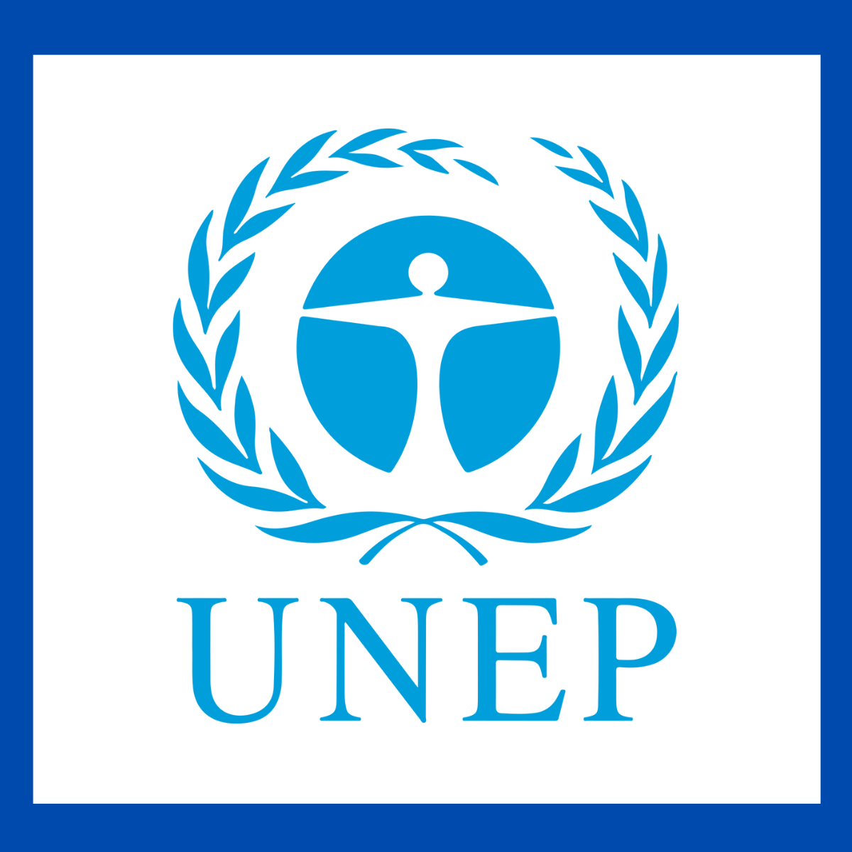 Remote UNEP Program Manager Role