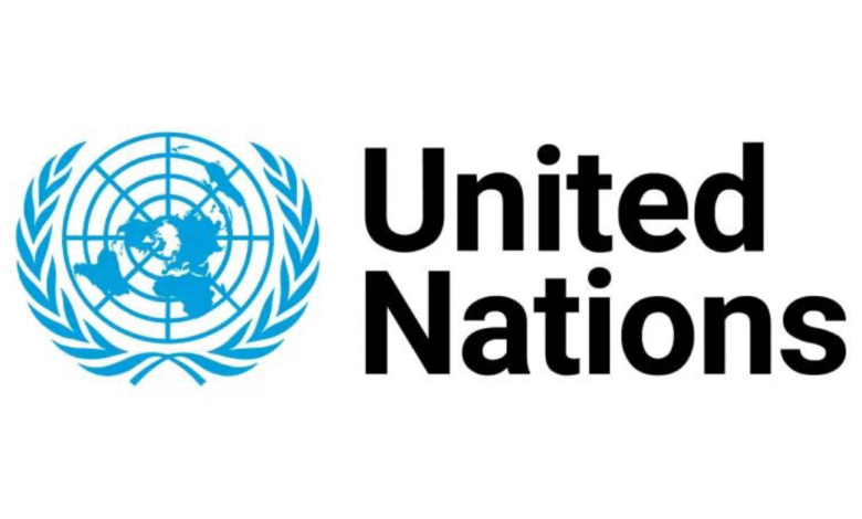 UN Assistant Role in New York