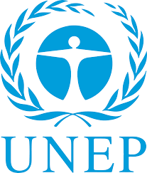 UNEP as a Remote Media Consultant – Apply by July 16, 2025