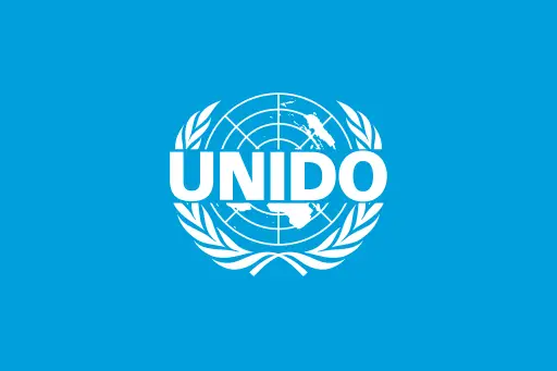 UNIDO Remote Hydrogen Project Consultant