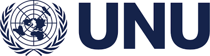 UNU Is Hiring 8 Paid Government Fellows | Earn $850/Month + Free Housing