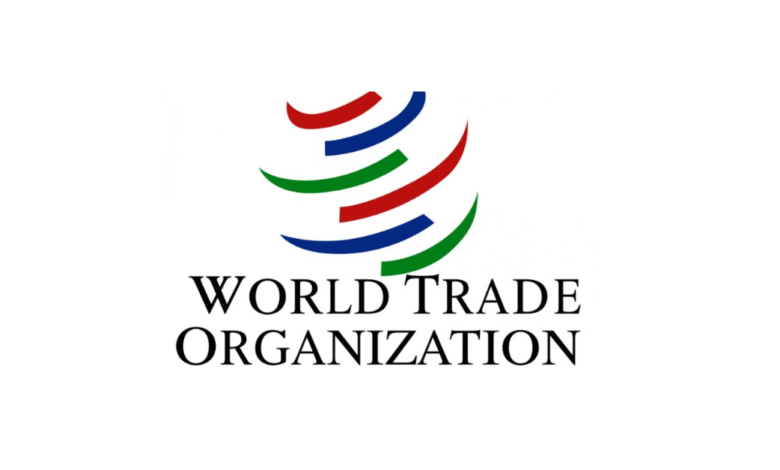 WTO Internship 2025 (Remote-Eligible) | Paid Internships for Postgrads & PhDs