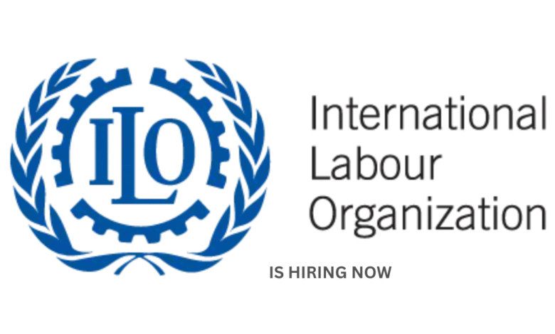 ILO Is Hiring a Project Manager (P4)