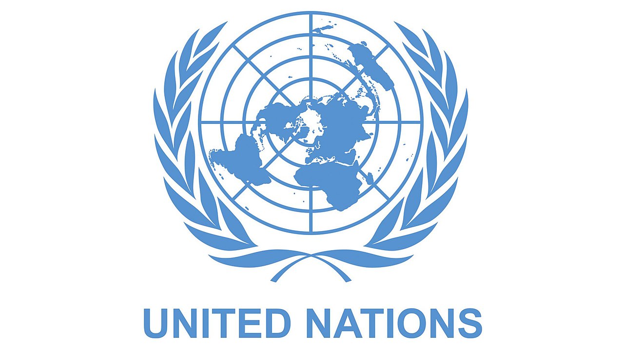 UNCTAD Remote National Consultant Job