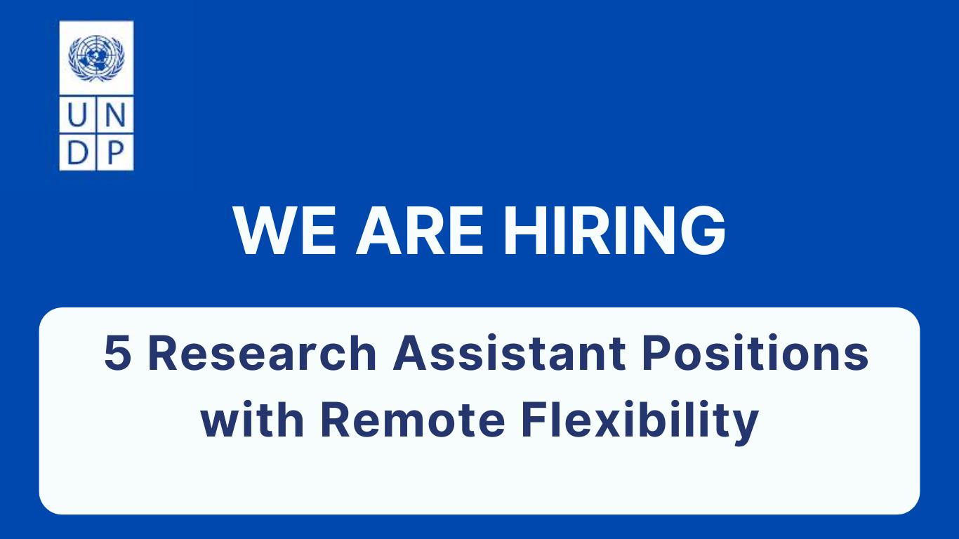 UNDP Paid Research Assistant Positions – Remote