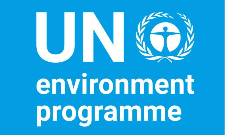UNEP Hiring Home-Based Researcher for 2025