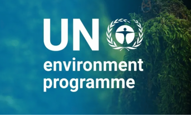 UNEP Is Hiring: IMEO Data Engineer
